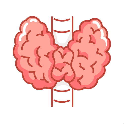 Endocrine System Simplified